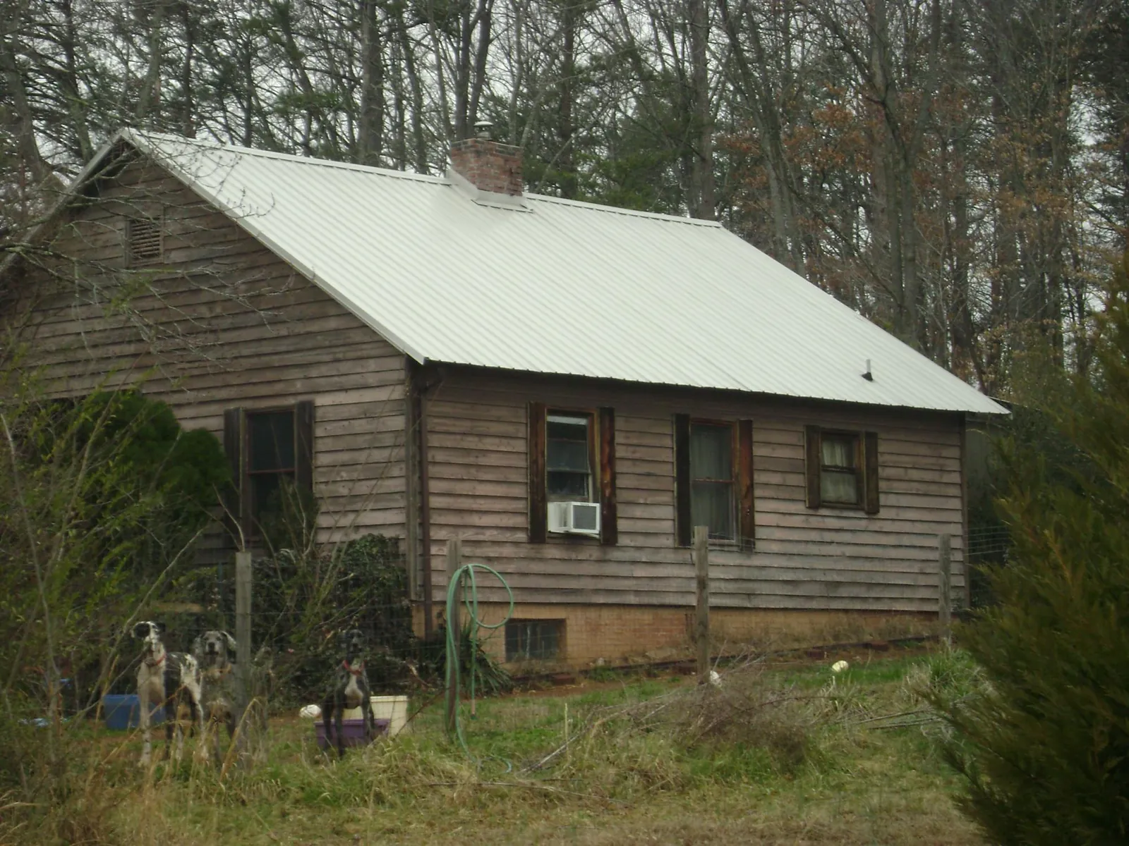 White metal roof on an old wood sided farmhouse, from a Asphalt Shingle Roof Repair job in Placitas